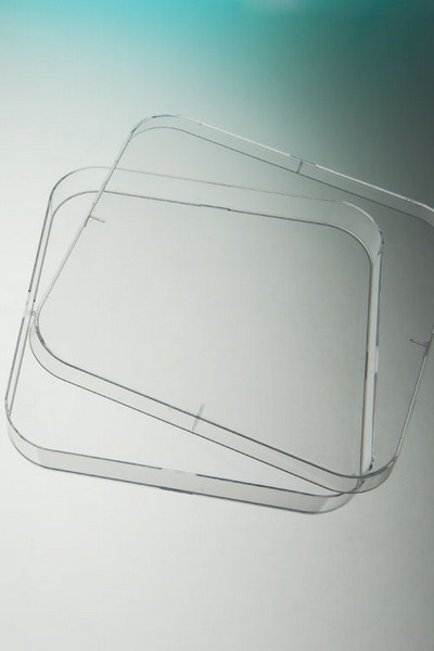 Boîte Pétri carrée PS na 4 ergots H15,8 120x120, ouv.facile, 14/sac, ( X 252 )